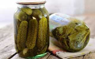 12 лучших рецептов маринованных огурцов на зиму: простые, вкусные, хрустящие