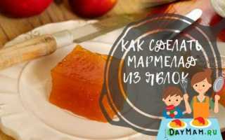 Мармелад из яблок в домашних условиях — 7 простых рецептов