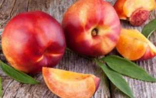 Нежные сырники в пароварке – рецепт вкусного диетического блюда