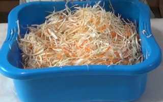 Маринованная капуста в банке: очень вкусные рецепты капусты на зиму
