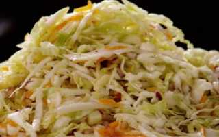 Капуста быстрого приготовления – очень вкусная (20 рецептов)