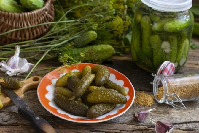 Как можно солить огурцы с яблочным уксусом на зиму: найдите для себя лучший рецепт
