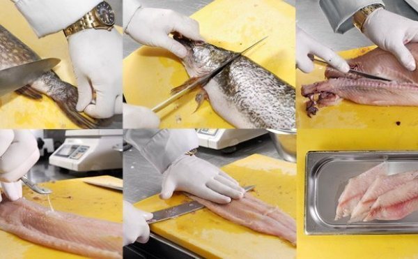 Котлеты из речной рыбы в домашних условиях с костями и без. Рецепты в духовке, на пару, сковороде